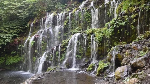 Waterfall Bali – Indonesia Vídeos de archivo 117705086
