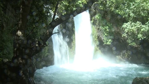 Waterfall of Banias Spring. Hermon. Golan. Israel. 206-0543-03 스톡 동영상 78774947