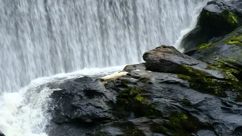 Waterfall Base - Wet rock to base of the fall - Slow motion Stock Footage 243771306