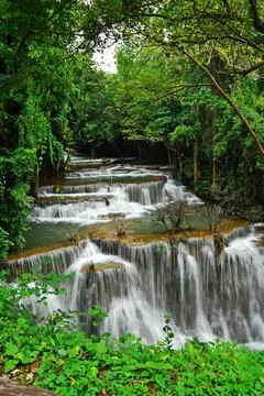 Waterfall beautiful forest Stock Photos