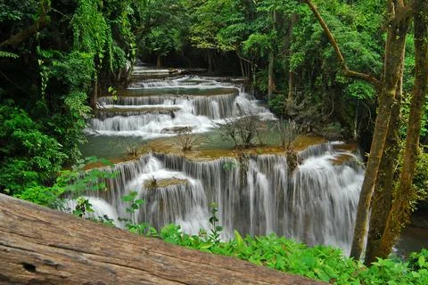 Waterfall beautiful forest Foto stock