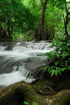 Waterfall beautiful forest Stock Photos