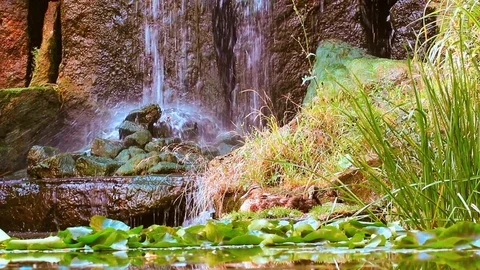 Waterfall in a beautiful garden Stock Footage 92640401