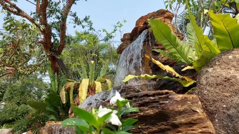 Waterfall with beautiful rocks Stock Footage 263423751