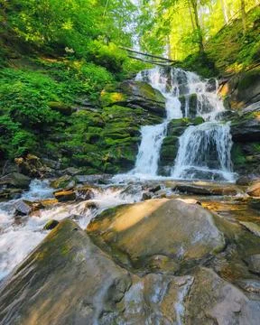 Waterfall in the beech forest Stock Photos