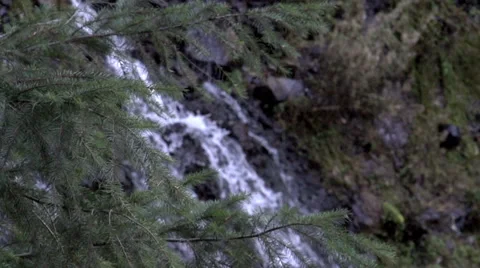 Waterfall Behind Branch Stock Footage 32922628