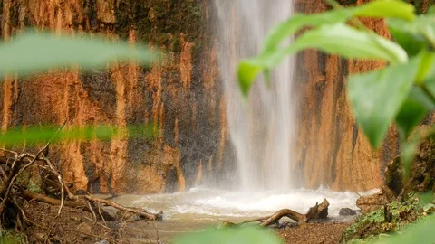 Waterfall behind plants in the jungle Video stock 127931099