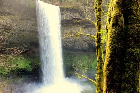 Waterfall behind a tree Stock Photos