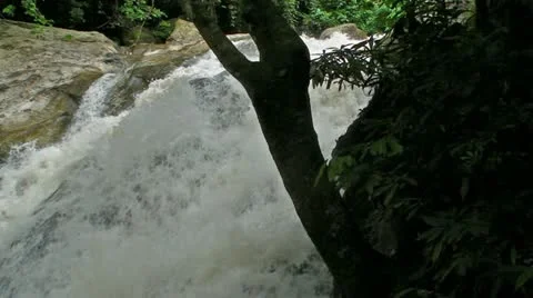Waterfall Behind the Trees Video stock 11306016