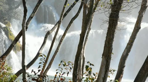 Waterfall behind the trees Stock Footage 43259463