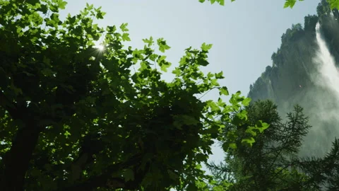 Waterfall behind trees Stock Footage 218995135