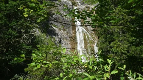 A waterfall behind trees Stock-Footage 260833396
