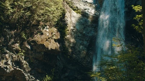 Waterfall Behind Trees Parallax Tracking Shot 스톡 동영상 111990270