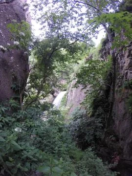 Waterfall behind the trees Stock Photos