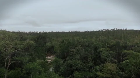Waterfall in Belize Jungle Drone shot video, (Aerial) Stock Footage 230804608