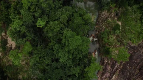 Waterfall in Belize Jungle Drone shot video, (Aerial) Stock Footage 230806479