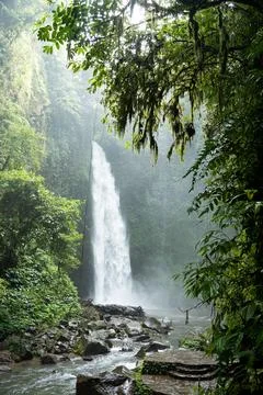 Waterfall Beneath Moss Draped Overhanging Branches, Stone Steps, Bali Stock Photos