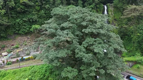 Waterfall Beside the Road 動画素材 258728700
