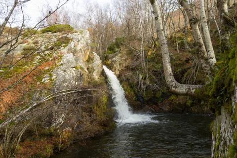 Waterfall between Beech, Rocks and Mos 스톡 사진