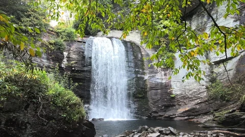Waterfall From between fall trees landing in a natural swimming pool Stock Footage 254604994