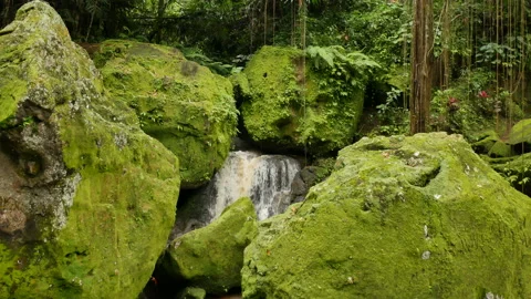 Waterfall between large rocks covered in bright green moss, lianas and tropical Stock Footage 190258660