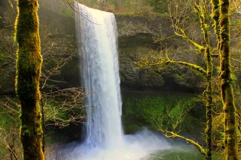 Waterfall between three moss covered trees Stock Photos