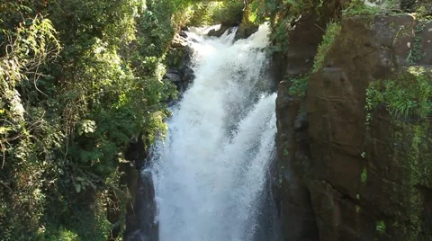 Waterfall between trees and stones Video stock 68425299