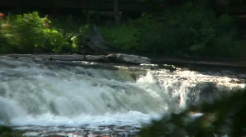 Waterfall between Trees Stock Footage 21302612