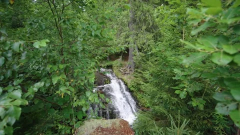 Waterfall between trees in Menzenschwander cascade in Black Forest Germany S Vídeos de archivo 331460368