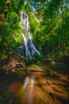 Waterfall between the trees Stock Photos