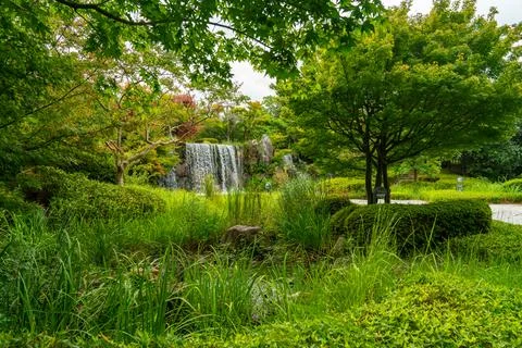 Waterfall between trees Stock Photos