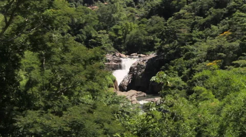 Waterfall between the tropical forest Stock Footage 57645276