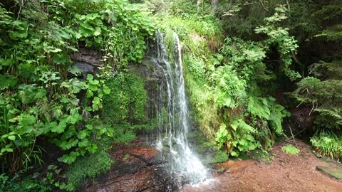 Waterfall in Black Forest, Baden-Württemberg, Germany 스톡 동영상 345013040