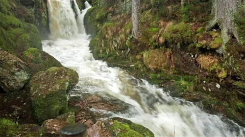 Waterfall in the black forest Video stock 68570238