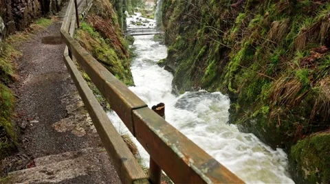 Waterfall in the black forest in Germany Video stock 68571635