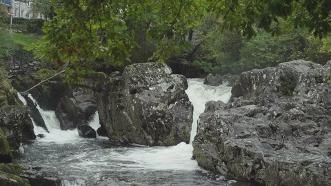 Waterfall in a blooming forest Stock Footage 88291092
