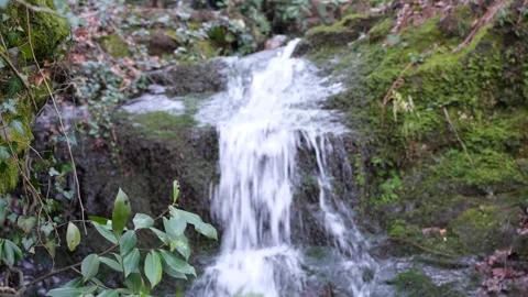 Waterfall blurry effect Stock-Footage 171525753