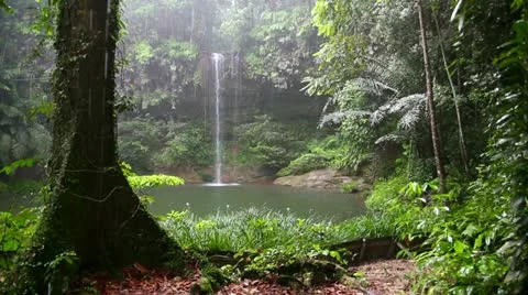 Waterfall at borneo rainforest in rainy day Stock Footage 12170212
