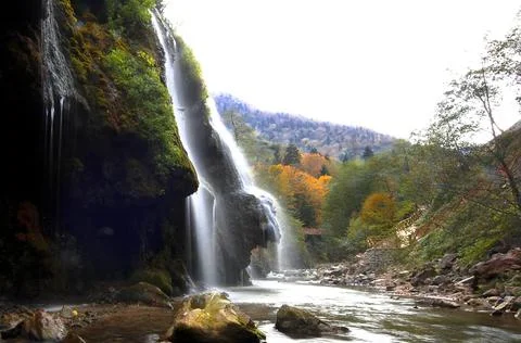 Waterfall in the bosom of the forest. Stock-Fotos