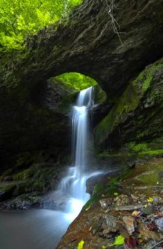 Waterfall in the bosom of the forest. Stock Photos