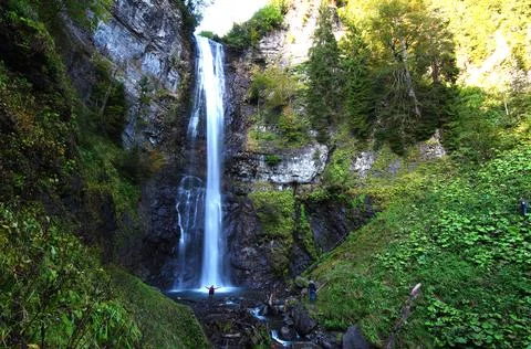 Waterfall in the bosom of the forest. Stock Photos