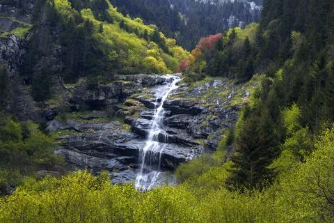 Waterfall in the bosom of the forest. Stock Photos