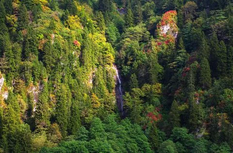 Waterfall in the bosom of the forest. Stock Photos