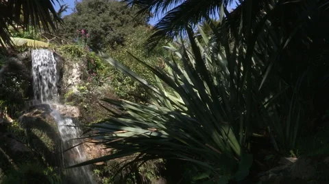A waterfall in a botanical garden Stock Footage 56813683