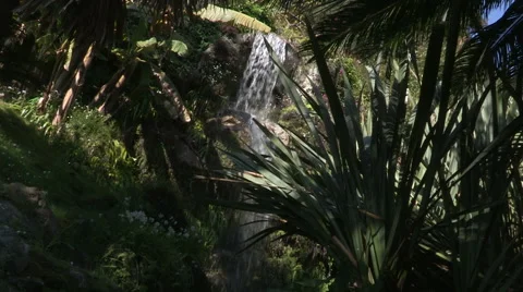 A waterfall in a botanical garden Stock Footage 57753241