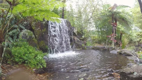 Waterfall in botanical garden Stock Footage 96292784