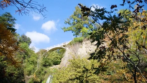 Waterfall in Botanical Garden Stock Footage 101519638