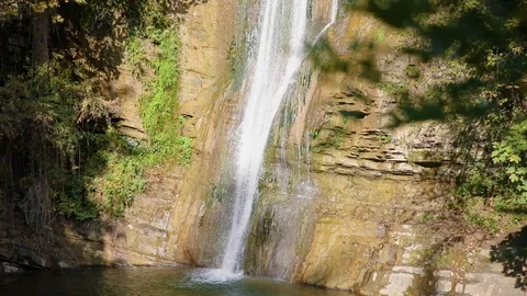 Waterfall in Botanical Garden Stock Footage 101519649
