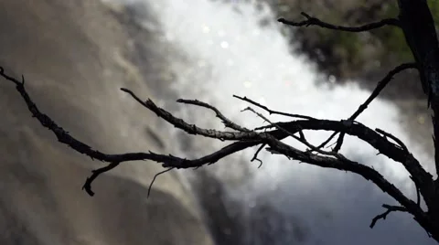 Waterfall with branch in slow motion Stock Footage 56292831