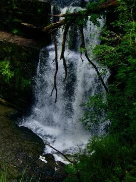 A Waterfall With Branches In Front Stock Photos